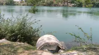 No existe ningún plan emergente que contrarreste esta situación