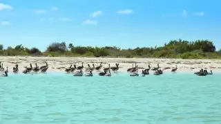 También la conocen como Punta Arena por su forma territorial