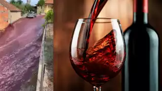 Un sueño realidad para los amantes del vino. Foto: Especial