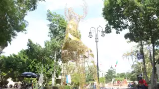 Se informó que se colocaron más de mil piezas navideñas de diferentes diseños y colores