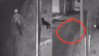 ¿Un fantasma en Campeche? Cámara capta a misterioso hombre que parece desaparecer en plena calle