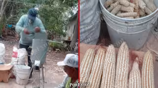 Ingenio campesino en Hecelchakán: Crean desgranadora de maíz con motor de lavadora