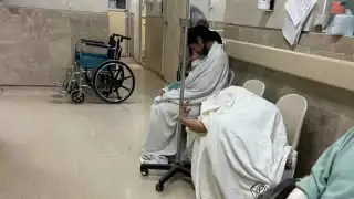 El Panorama Epidemiológico de Dengue informa que, en la última semana, se notificaron 453 casos del padecimiento