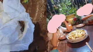 “Mi niña se la sacó de la boca”: denuncian hallazgo de cucarachas en bebidas de restaurante en Mérida