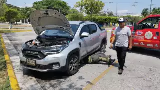 El conductor del auto decidió llamar a los bomberos para no lastimar al pequeño felino
