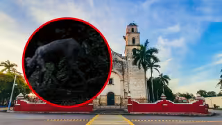 ¿El uay kekén en Espita? Misteriosa criatura captada de noche desata pánico entre vecinos