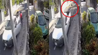Video muestra  presunto abandono de dos perros en Cholul, Mérida; esto se sabe
