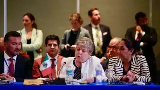 Alicia Bárcena recibió el aval de 19 de 20 países en la Celac