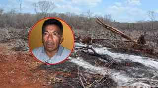 Apicultor de Hopelchén acusa a menonitas de devastar la selva y provocar la muerte de sus abejas