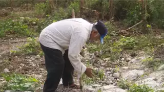 Se dice que los infantes son más propensos a tener encuentros con los aluxes