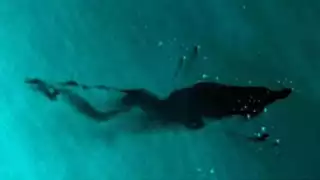 Los pescadores critican derrames y desechos industriales