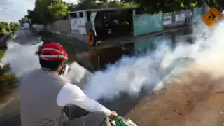 Los casos de dengue en la entidad promedian los 100 diarios