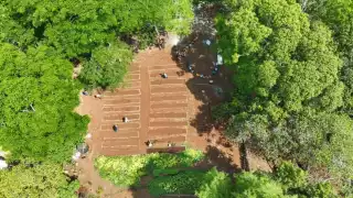 Los primeros lugares en la materia son Veracruz y Jalisco