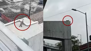 Caminaba por una columna del distribuidor a más de 10 metros del piso