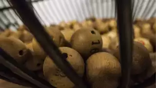 La fortuna llegará a sus vidas. Foto: Especial