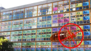 La Facultad de Química de la UNAM llevará a cabo una fumigación por la plaga de chinches que se reportó