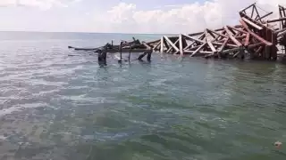 La caída de un rayo y la falta de mantenimiento causó que la madera terminara derribada