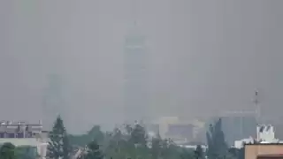 Consulta cuáles son los autos que deberán seguir las reglas del Doble Hoy No Circula