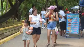 Crece la confianza de las mujeres en Mérida para reportar casos de violencia: van más de 14 mil casos atendidos en el año