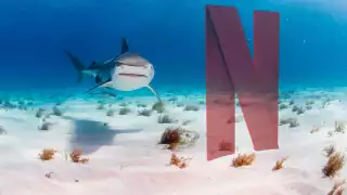 La producción de un documental de Netflix se llevó un gran susto. Foto: Especial