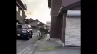 Fuerte terremoto de magnitud 6.9 golpea el Archipiélago de Ogasawara en Japón: VIDEO