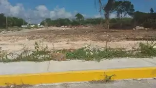 Comenzó el desmonte y relleno del predio que se ubica entre las colonias Flamingos y Las Américas