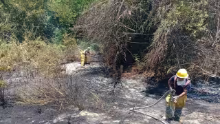 En cuestión de 30 minutos lograron controlar la situación