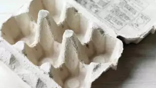 Por esta razón los yucatecos no deben quemar cartón de huevo para ahuyentar a los moscos