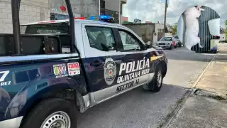 Se pidió el apoyo de protección animal, pero no llegó