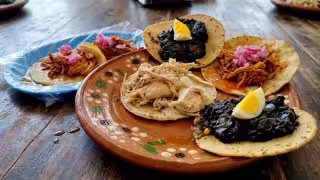 Día del Taco 2026: estos son los que más antojo provocan en Yucatán