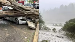Fuertes vientos dejan afectaciones en CDMX y Edomex