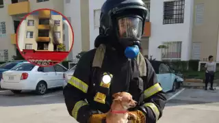 El siniestro ocurrió al interior de un departamento, ubicado en el segundo nivel