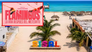 Cine gratis bajo las estrellas en Sisal: proyectarán el documental "Flamingos"