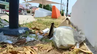 Familias ya no visitan los parques por miedo a la delincuencia