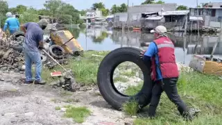 El comercio de títulos falsos en Ciudad del Carmen se ha vuelto incontrolable