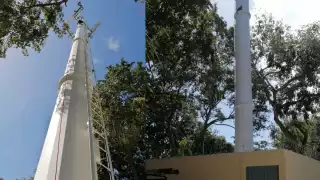 Como el felino no tenía dueño, los rescatistas se lo llevaron