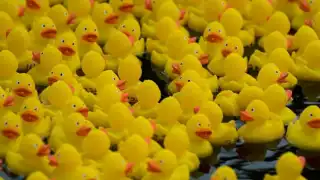 La tendencia se desató por medio de la plataforma de Tiktok