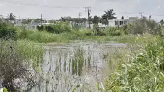 Atlas de Riesgo usará drones en Campeche para ubicar asentamientos irregulares y efectos del cambio climático