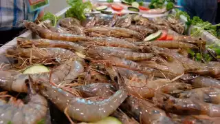 Buscarán opciones para que no se siga depredando el camarón