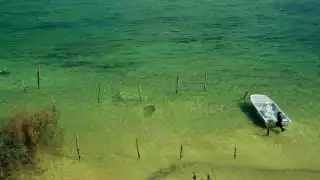 El proyecto 'Casa Habitación Zula' consiste en el cambio de uso de suelo de una superficie de mil 108.20 metros cuadrados