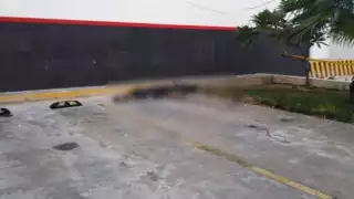 El señor comenzó a sentirse mal y luego cayó al suelo sin signos vitales