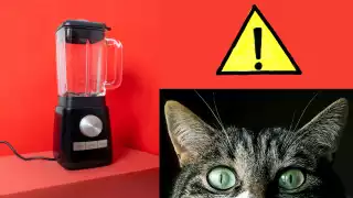 El video circula en Twitter. Foto: Especial