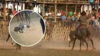 El caballo murió luego de ser corneado por el toro en un torneo de lazo