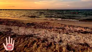 Las cámaras captaron a la pareja en Progreso