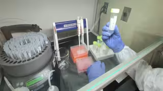 Luego de permanecer un mes en Semáforo Naranja, Campeche se encuentra ahora en Riesgo Medio; es decir, en color Amarillo, lo que significa nuevas medidas menos restrictivas. Foto: Por Esto!