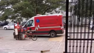 Enjambre de abejas ataca a una comerciante en San José Tecoh