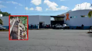 Al lugar llegaron elementos de Seguridad Pública, que confirmaron dicho hallazgo