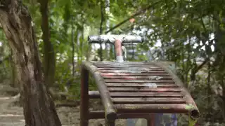 Parque Kabah Cancún, el Área Natural Protegida en deterioro a 28 años de su inauguración