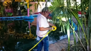 Aplican medidas en los lagos del Centenario y del Poniente en Mérida tras confirmar ameba “Naegleria”