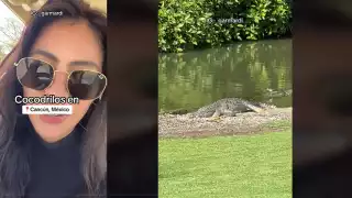 La chica muestra como el campo de golf esta lleno de cocodrilos